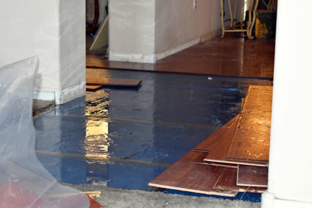 Professional Burst Pipe Cleanup technician working in Yale, MI