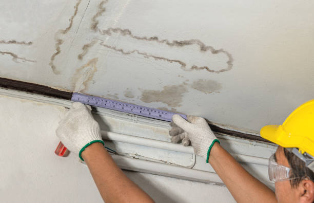 Reliable Burst Pipe Cleanup contractor in Yale, MI by Water Damage Irwin